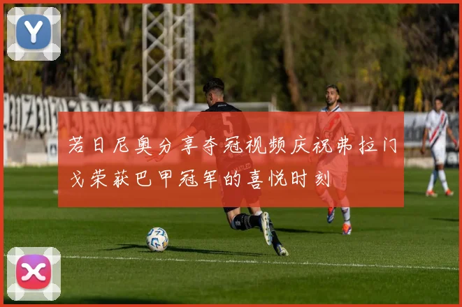 若日尼奥分享夺冠视频庆祝弗拉门戈荣获巴甲冠军的喜悦时刻