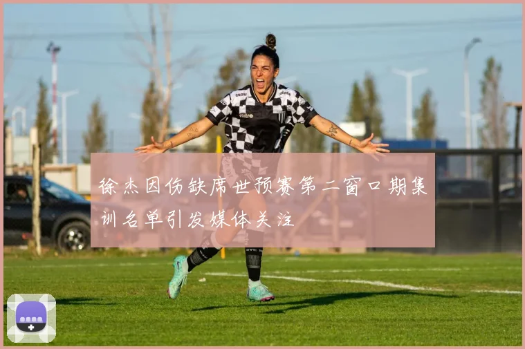 徐杰因伤缺席世预赛第二窗口期集训名单引发媒体关注